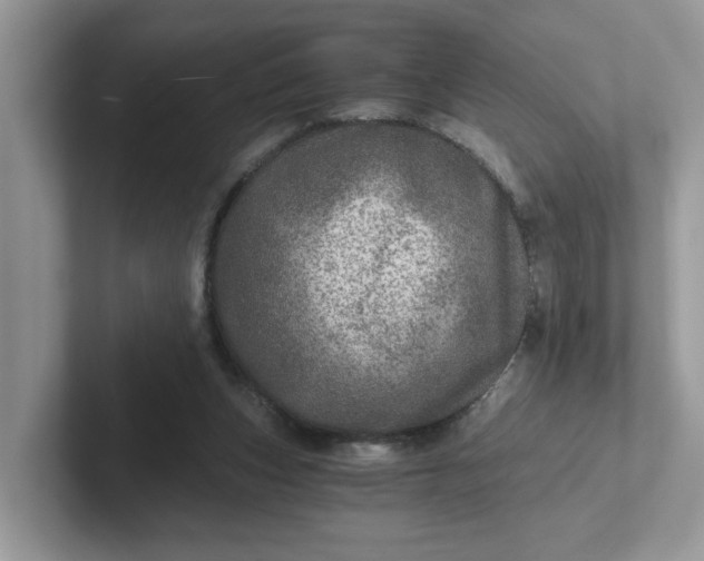 X0000101440159200807211220