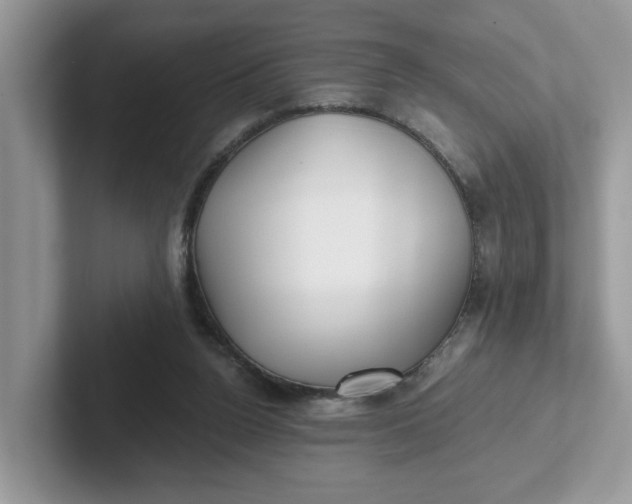 X0000101440160200807211220