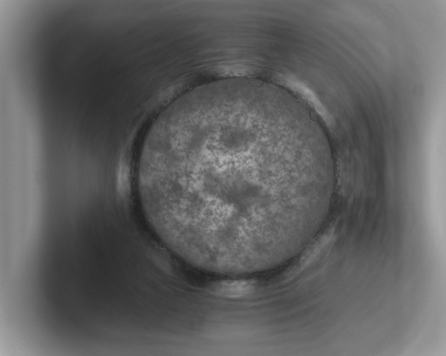 X0000101440161200807211220