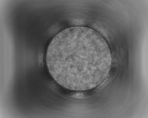 X0000101440162200807211220