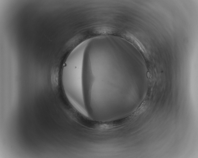 X0000101440163200807211220