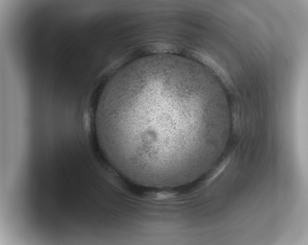 X0000101440165200807211220