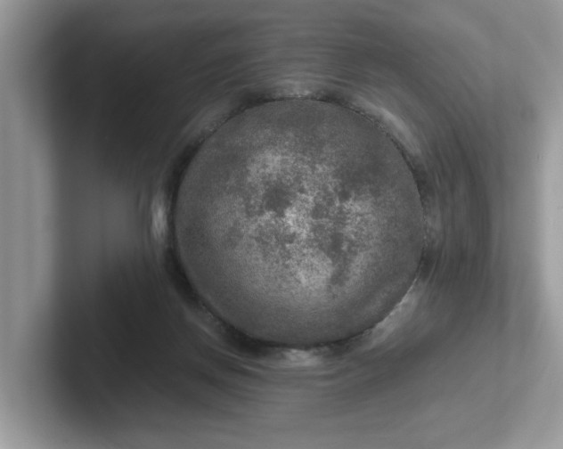 X0000101440166200807211220