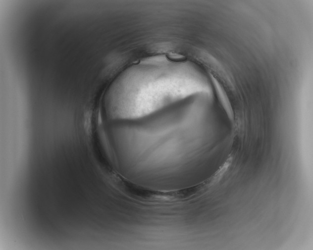 X0000101440167200807211220