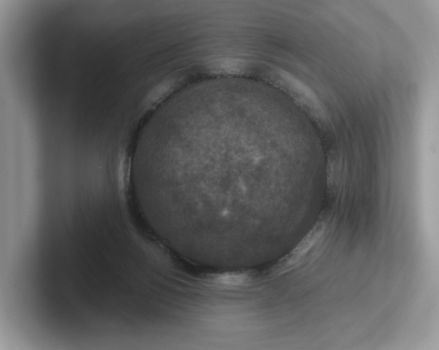 X0000101440168200807211220