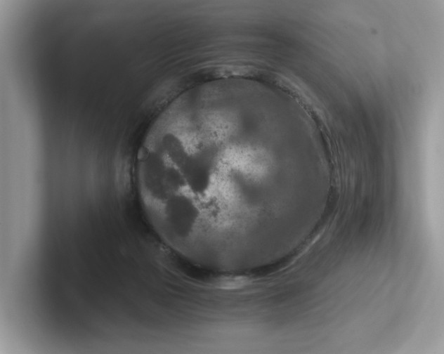 X0000101440169200807211220