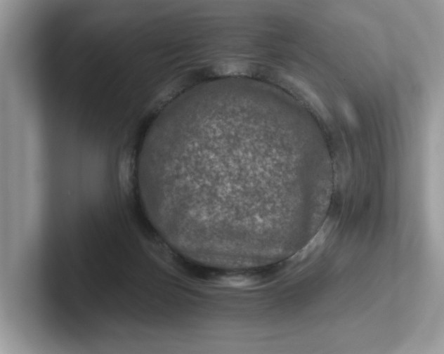 X0000101440171200807211220