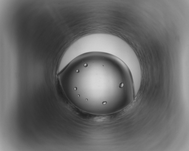 X0000101440172200807211220