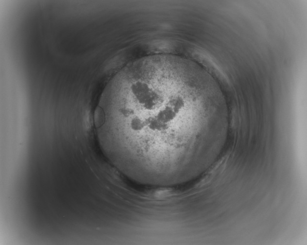 X0000101440173200807211220