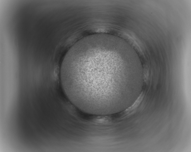 X0000101440175200807211220