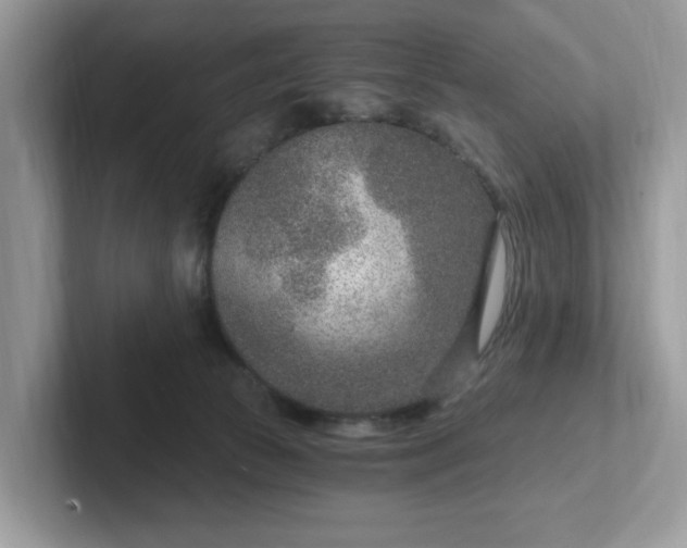 X0000101440177200807211220