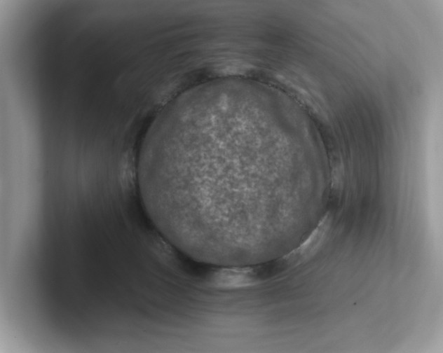 X0000101440179200807211220