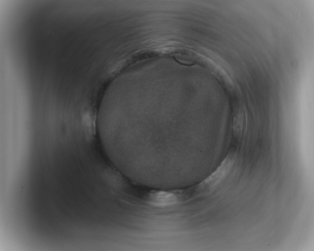 X0000101440180200807211220