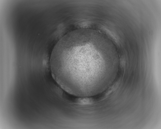 X0000101440181200807211220