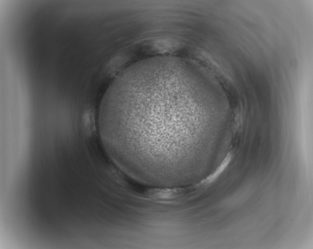 X0000101440182200807211220