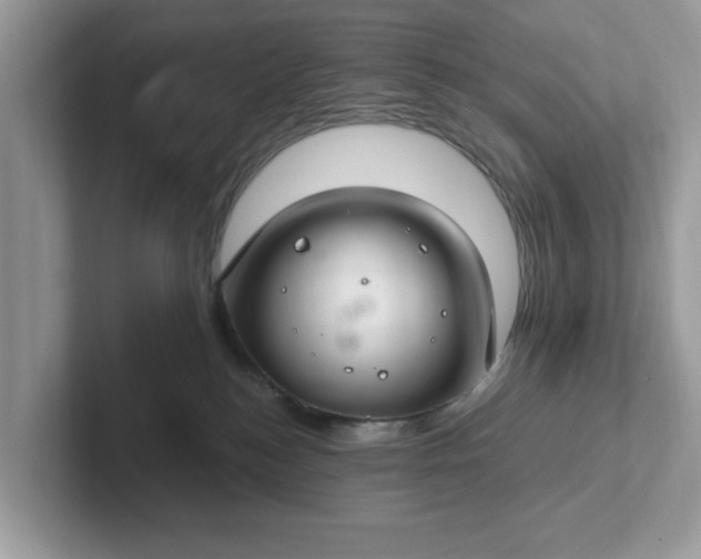 X0000101440184200807211220