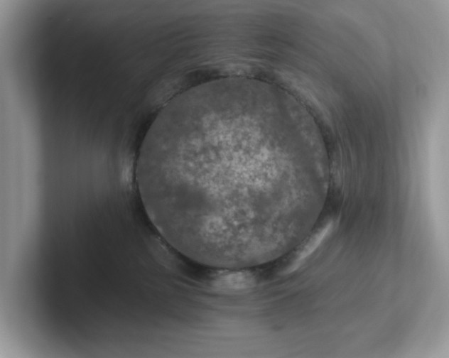 X0000101440185200807211220