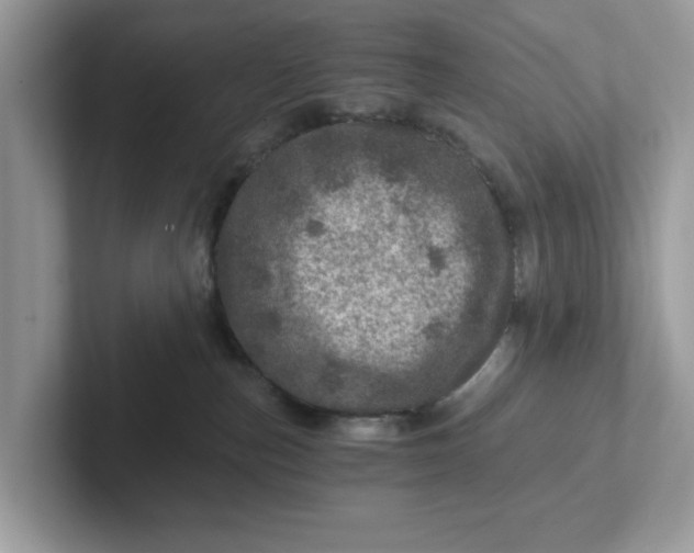 X0000101440187200807211220