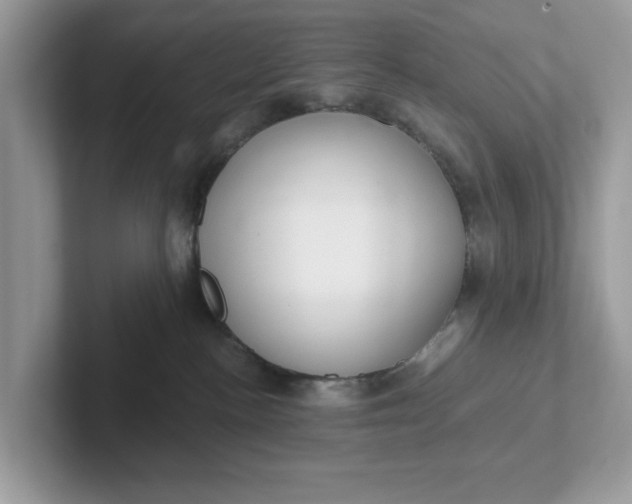 X0000101440188200807211220