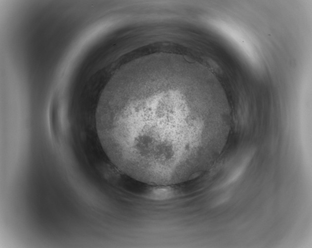 X0000101440189200807211220