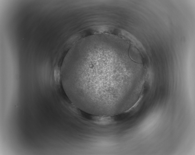 X0000101440191200807211220