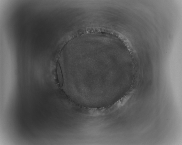 X0000101440192200807211220