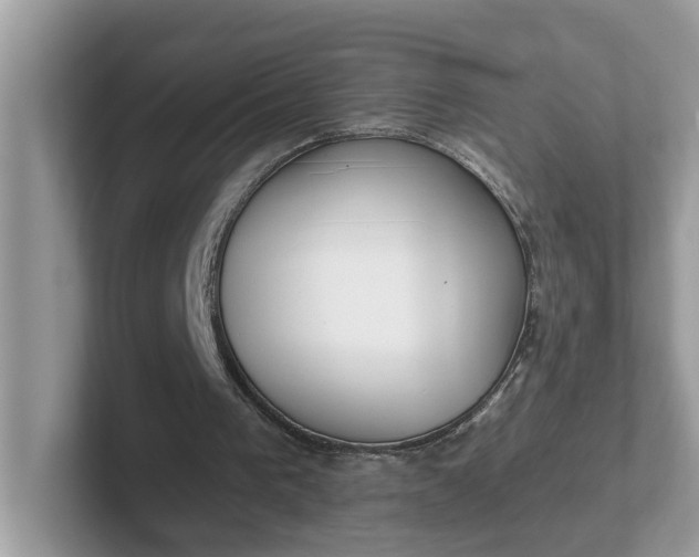 X0000101440193200807211220