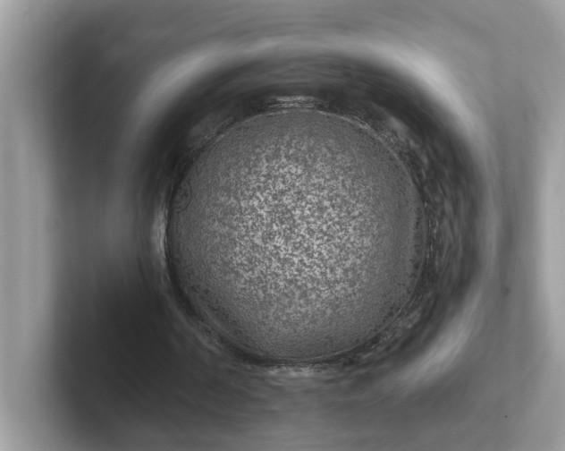 X0000101440194200807211220