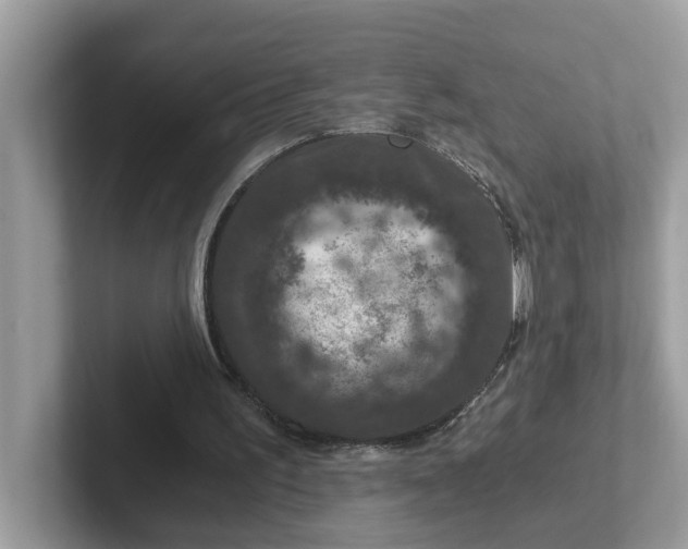 X0000101440195200807211220