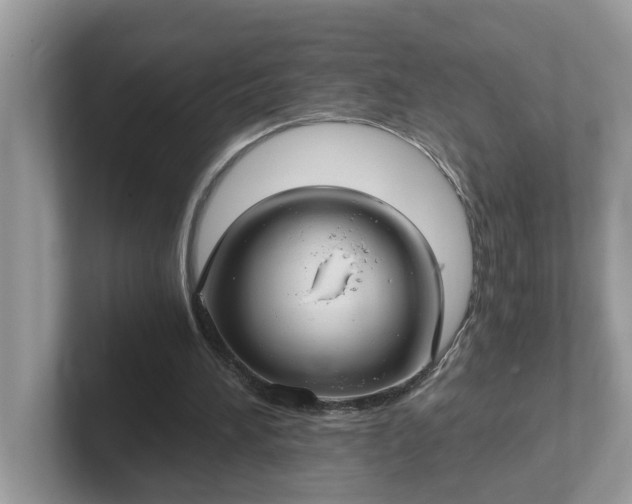 X0000101440196200807211220