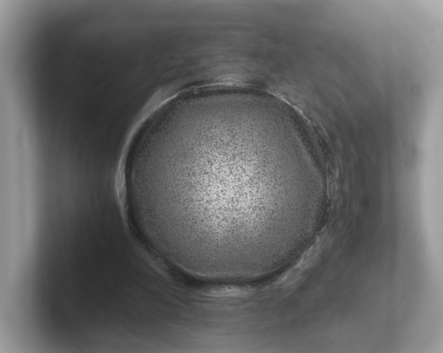 X0000101440198200807211219