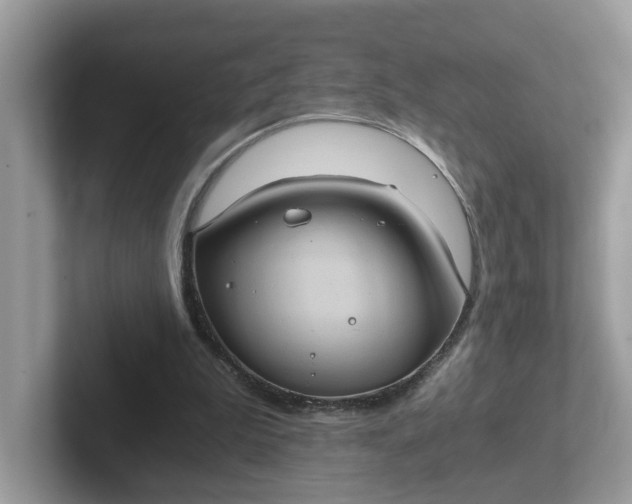 X0000101440199200807211219