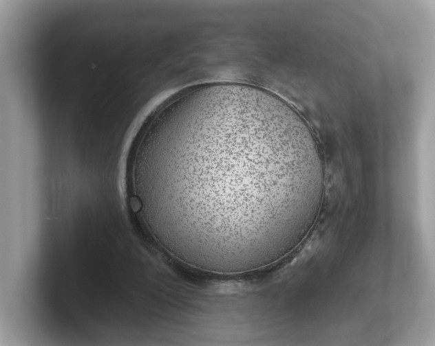 X0000101440200200807211219