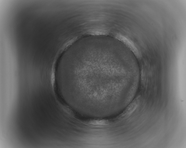 X0000101440202200807211219