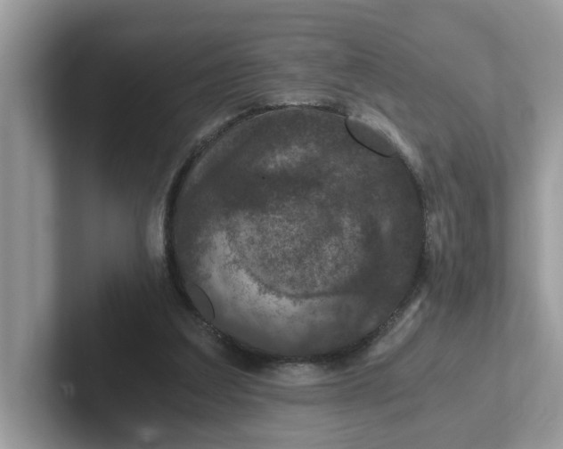 X0000101440203200807211219