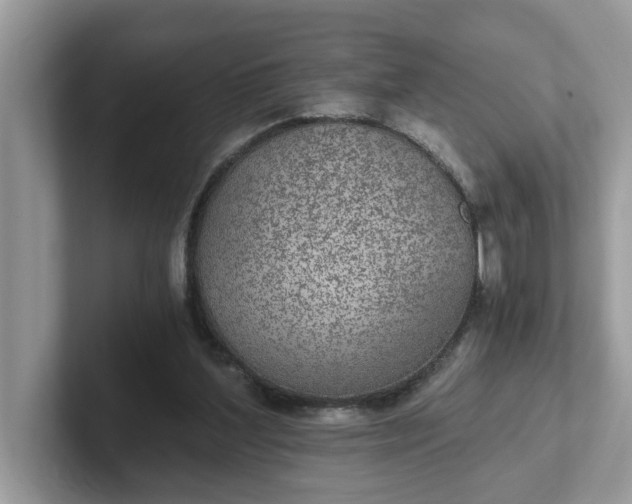 X0000101440204200807211219