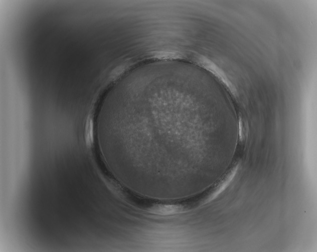 X0000101440205200807211219