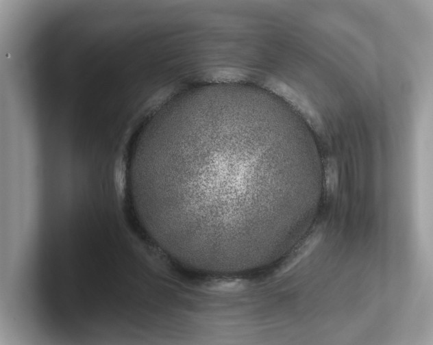 X0000101440206200807211219