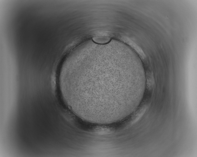 X0000101440207200807211219