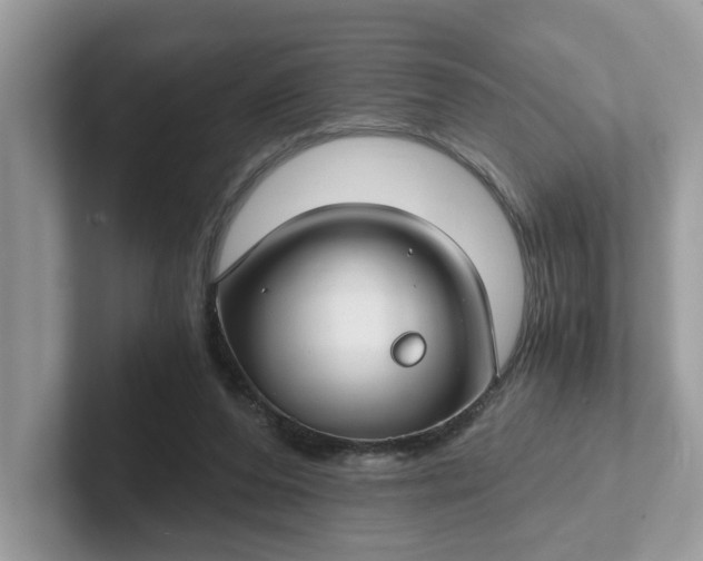 X0000101440208200807211219