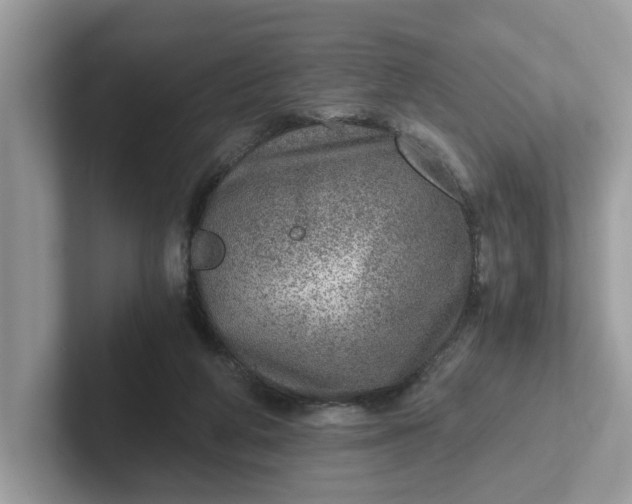 X0000101440210200807211219