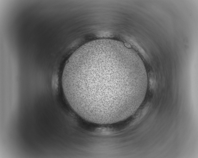 X0000101440211200807211219