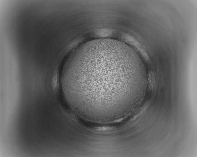 X0000101440212200807211219