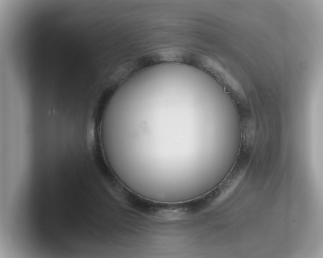 X0000101440213200807211219