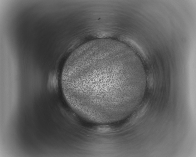 X0000101440214200807211219