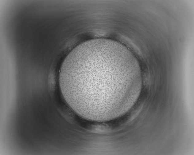 X0000101440215200807211219