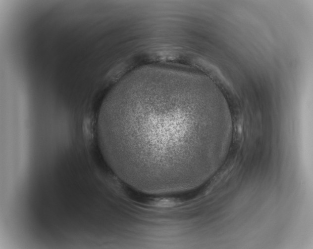 X0000101440218200807211219