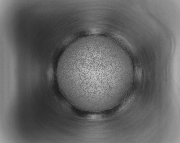 X0000101440220200807211219