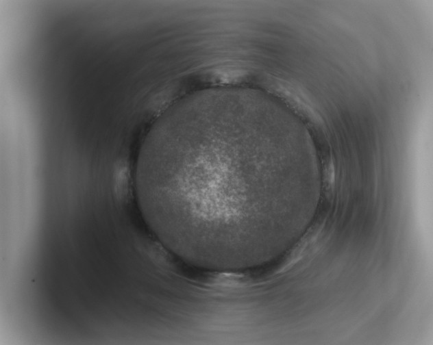 X0000101440222200807211219