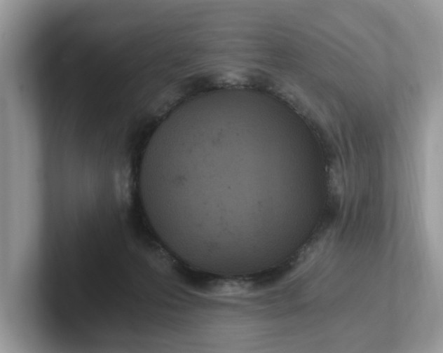 X0000101440223200807211219